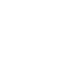 Bases de Datos
